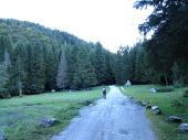 02 Nel bosco